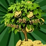 Telegram-бот @Pr_MoneyTree_bot