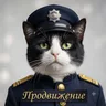Telegram-бот @AdvancementtBot