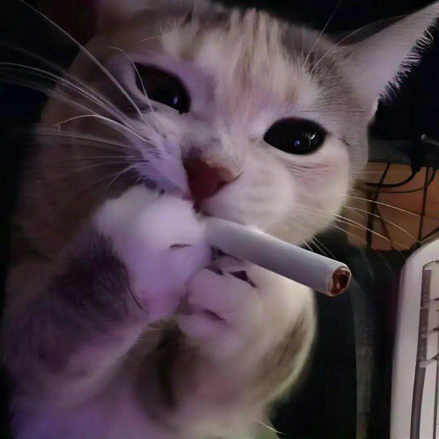 Аватар Telegram-бота «BEᴩA B ᴨобEду» (@VeraVfb_Bot)